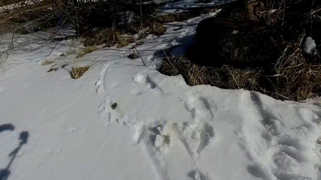Полевые Мега Находки! Это нужно видеть! смотреть онлайн