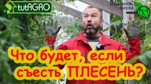 ПЛЕСЕНЬ - ЭТО ВКУСНО! Что будет, если съесть плесень? А если съесть много плесени? А если чуть-чуть?