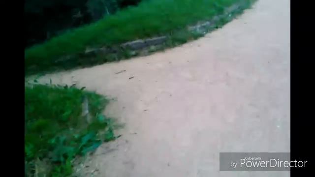 Северный Кавказ,парк Кисловодск смотреть онлайн