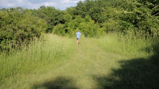 Брюс Ли Любимые упражнения Брюса Ли смотреть онлайн