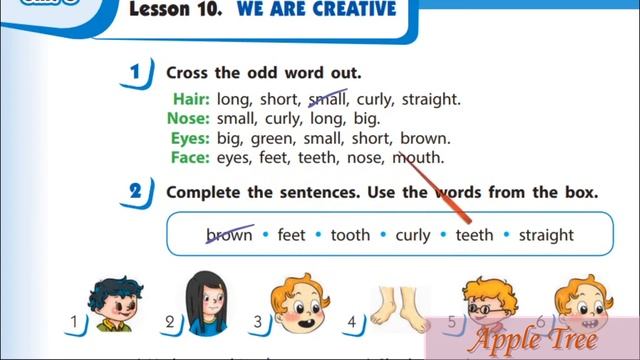 Start Up 3 НУШ Тема 3 Урок 10 We Are Creative с. 52-53 & Workbook✔Відеоурок смотреть онлайн
