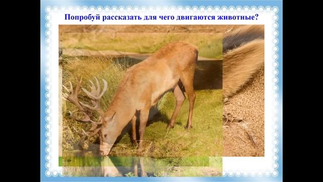 Естествознание 1 класс, 14 урок, Движение живых организмов смотреть онлайн