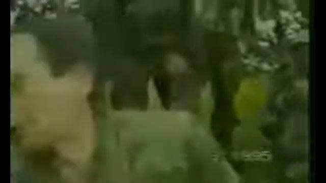 Из истории распада Югославии в начале 90 ых .. смотреть онлайн