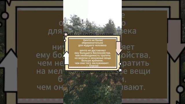 Тратить на мелочи и ненужные вещи больше времени, чем они того заслуживаю смотреть онлайн