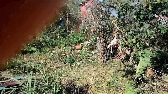 Это видео посвящают что я на дача Просто я бабушку привёз свою и это на бабушкином телефоне рубашку смотреть онлайн