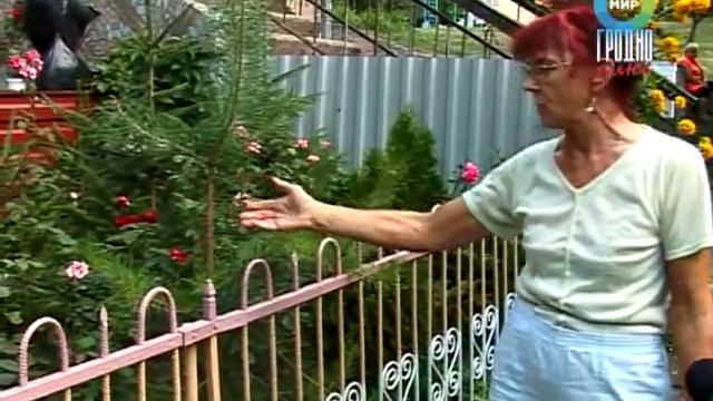 цветник Социалистическая, 64 смотреть онлайн
