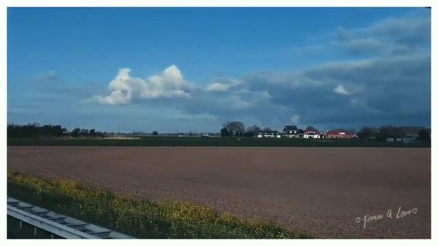 Будни шофёра.mp4 смотреть онлайн