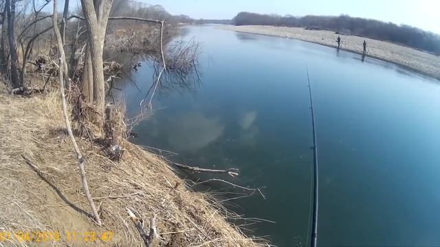 Краснопёрка на мухи 1.04.19г. Часть вторая. смотреть онлайн