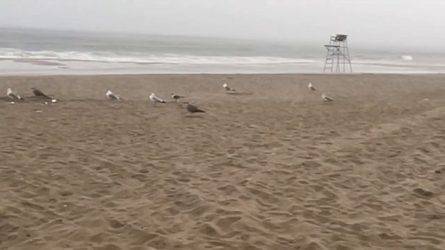 Hurricane Henri tropical storm August 21st 2021 Rockaway Beach peninsula of Long Island NY USA 🇺🇸 смотреть онлайн