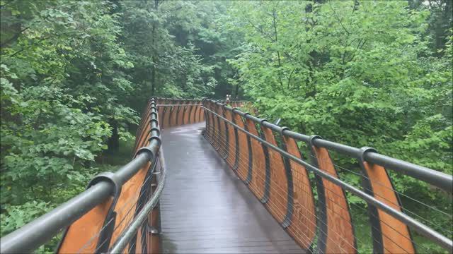 Воздушная экотропа ВДНХ: прогулка в гармонии с природой 🌿 смотреть онлайн