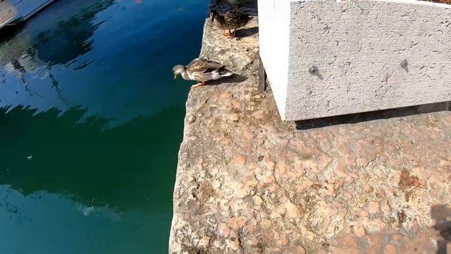 BARDOLINO - Italy II Travel Video II Gardasee ? смотреть онлайн