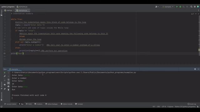 While Loop Basics True or False смотреть онлайн