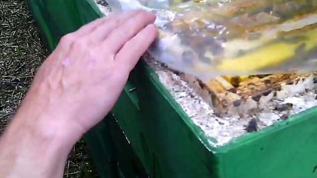 На липе в Берлине смотреть онлайн