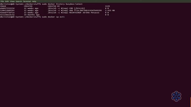 03 Docker Advanced Usage Advanced Docker Containers commands смотреть онлайн