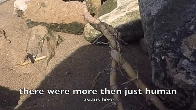 how to catch your own sandworms (very helpful and saves money) смотреть онлайн