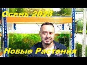 Осень 2023. Растительные новости. (Архив от 15.10.2023)