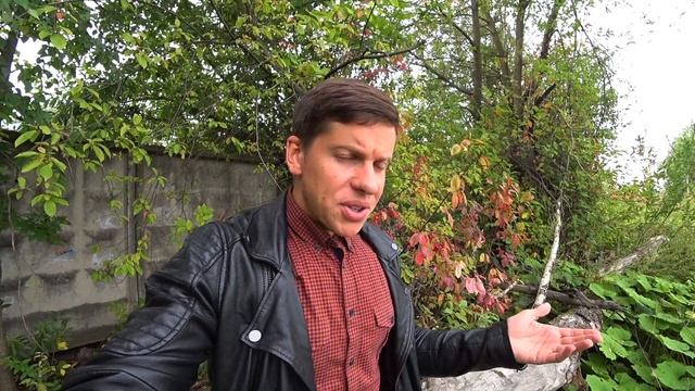 Реклама не работает. Почему я думал закрыть канал?