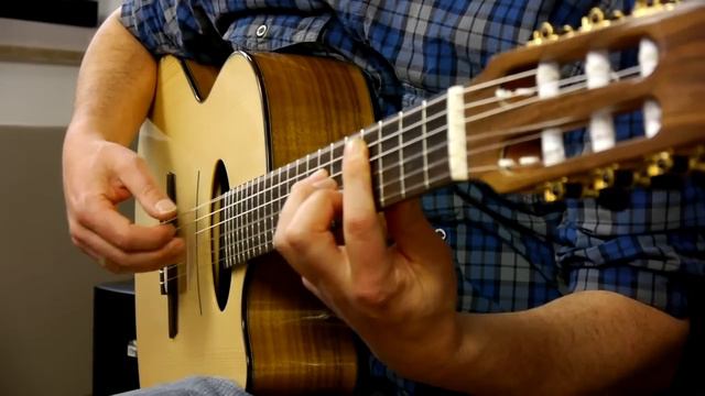 AKUSTIK GITARRE 4-2014: Test Kremona Daimen Fusion-Nylonstring Mit Andreas Schulz