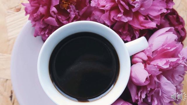 Чашка кофе смотреть онлайн