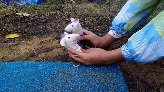 Мышки ищут клад смотреть онлайн
