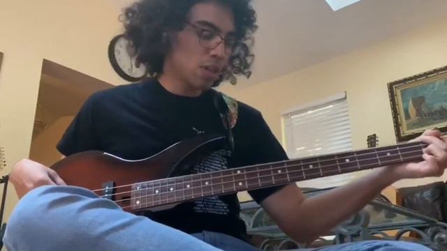 Wallows - These Days Guitar & Bass Cover (ft. Nick from Orlando) смотреть онлайн
