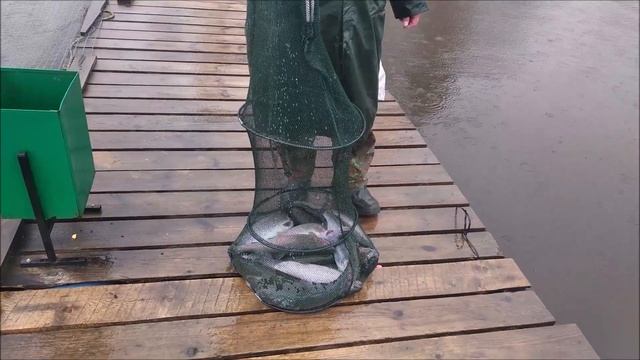 Непогода положительно сказалась на клеве!!!!!клевое место. д Савельево. смотреть онлайн