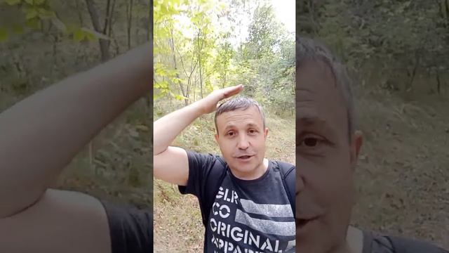 Загадочные тайны