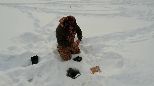 Жор щуки 01.02.2020 г ловим на жерлицы Тюмень смотреть онлайн