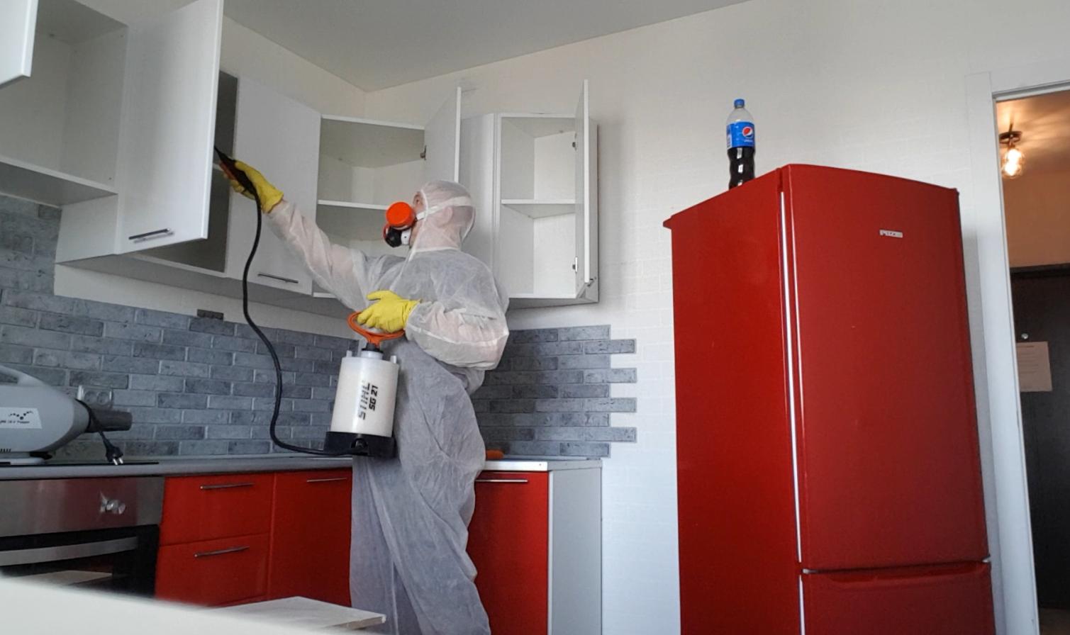 Уничтожение тараканов, обработка квартиры от тараканов