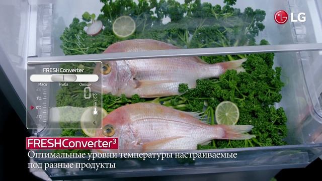 LG FreshConverter. Зона с регулируемой температурой смотреть онлайн