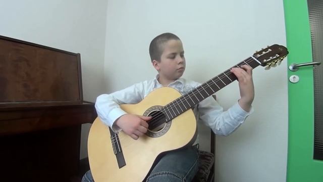 Вадим Трусов Экспромт на тему укр.нар.песни "Несе Галя воду", исп. Сергей Школьников, г.Москва смотреть онлайн