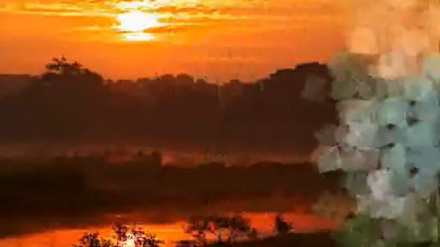 Стинг клип ."Sting-Desert Rose (Radio Edit)", : UMG смотреть онлайн