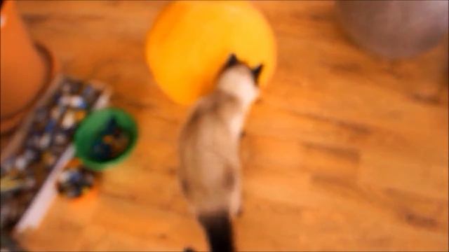 welcome from Rita смотреть онлайн