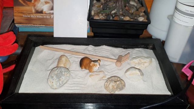 Der Miniatur - Zengarten (Kare-san-sui) смотреть онлайн