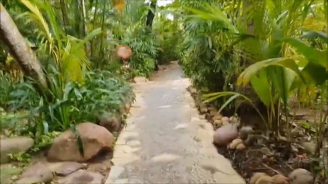 о. Хайнань/термальные источники смотреть онлайн