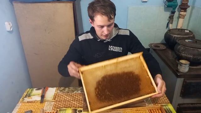 Выводим маток от А до Я простой способ без переноса личинок стартер и воспитательница в одной семье