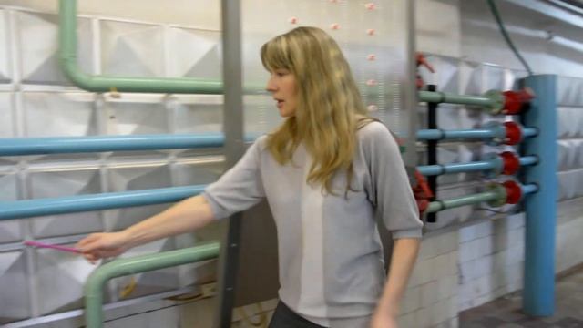 Лабораторная работа №1