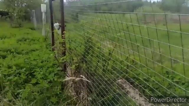 ЖИВЕМ НА ДВА ДОМА/РЕМОНТ/ СТРОЙКА/ РЕСТАВРАЦИЯ МЕБЕЛИ смотреть онлайн