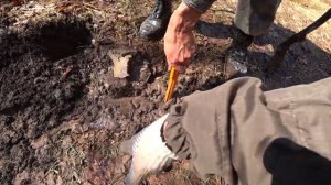 Коп в лесу.Нашли не выбитое место....