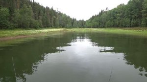 Дмитрий Шилов и Поймай Акулу на рыбалке / Таежные хроники