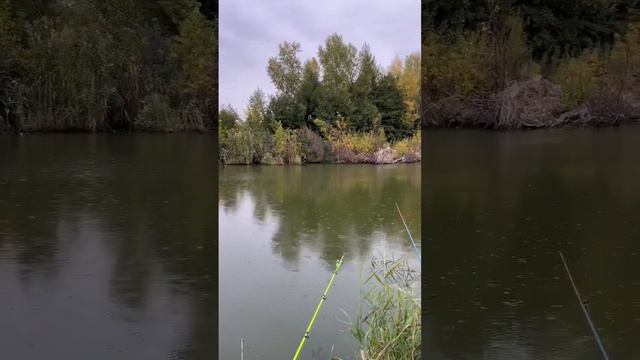 Рыбалка на реке Илек смотреть онлайн