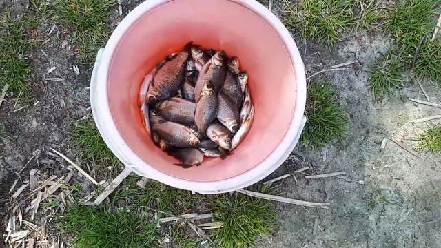 УСЛЫШЬТЕ МЕНЯ ПОЖАЛУЙСТА!!!!!!