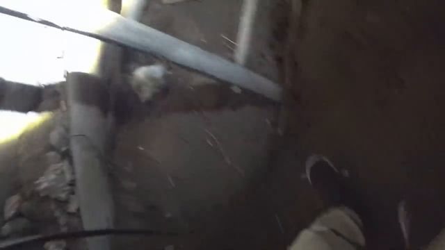 Tim Morozov. ЭГФ на практике: деревня Осмерицы.