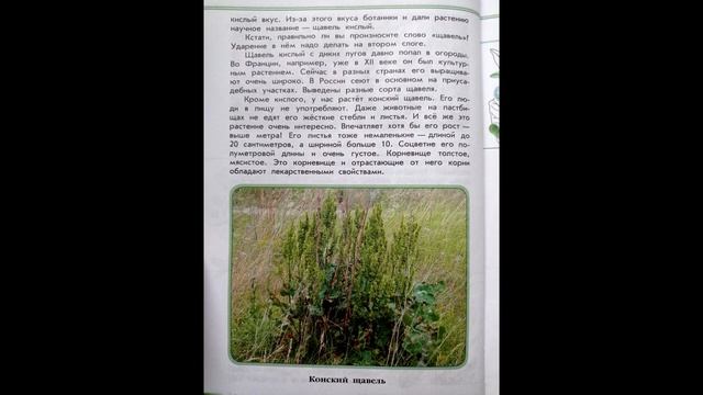 Читаем детям. ЗЕЛЁНЫЕ СТРАНИЦЫ. А.А.Плешаков. Страница первая. КИСЛЫЙ,НО ВКУСНЫЙ (ЩАВЕЛЬ). смотреть онлайн