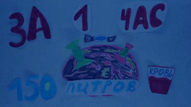 Лаборатория Познавательных мультфильмов: Как устроен мозг смотреть онлайн