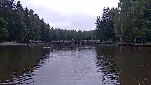 Приманка "стик" соблазняет активную рыбу, спорт-зона. Клёвое место Лосиный остров. смотреть онлайн