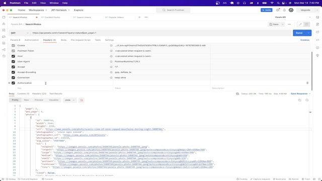 Pexels API Tutorial смотреть онлайн