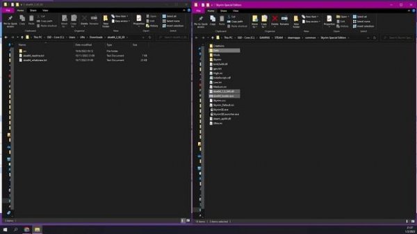 Install SKSE 2023 | How To Guide | MO2 & Vortex