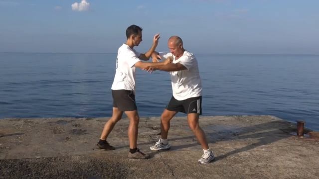 Ицюань Туйшоу-2015 (11). Шаг за шагом. Отработка ударов в Туйшоу