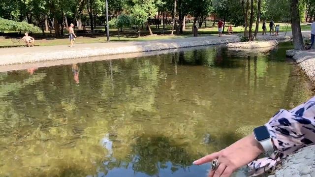 МОИ НОВЫЕ КРОССОВКИ ВСЕ ХОТЯТ, А УТКИ ВСЕ СПЯТ / АРИНА БЕЛАЯ смотреть онлайн